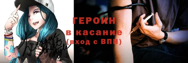 гашик Алексин