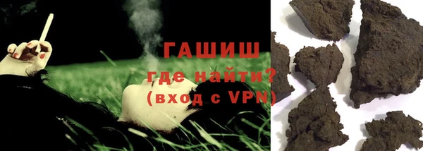 гашик Алексин