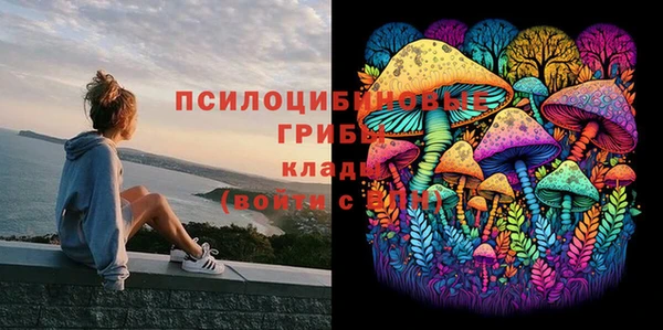 гашик Алексин