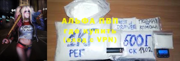 гашик Алексин