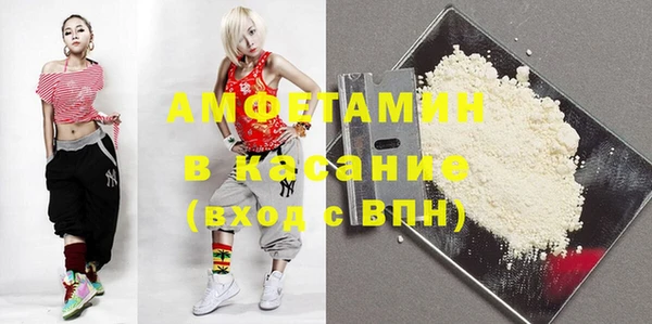 гашик Алексин