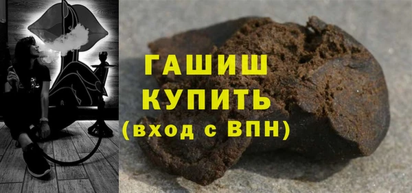 гашик Алексин