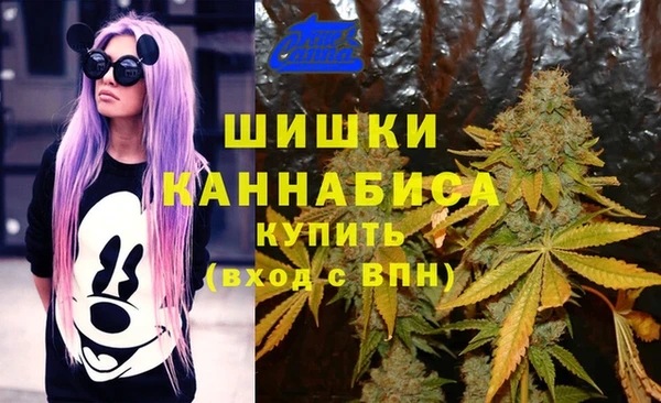 гашик Алексин