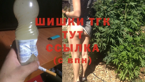 тгк Алзамай