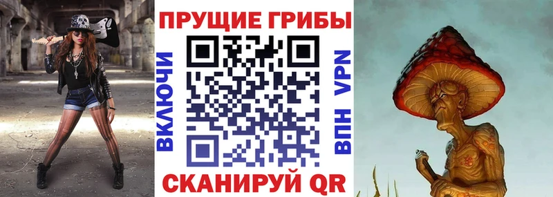 Псилоцибиновые грибы прущие грибы  кракен ONION  Кудрово 