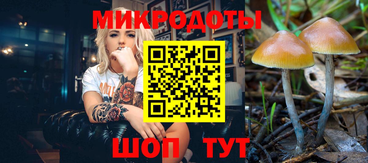 Галлюциногенные грибы прущие грибы Кудрово